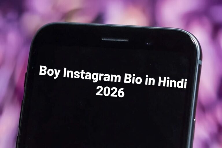 boy instagram bio in hindi